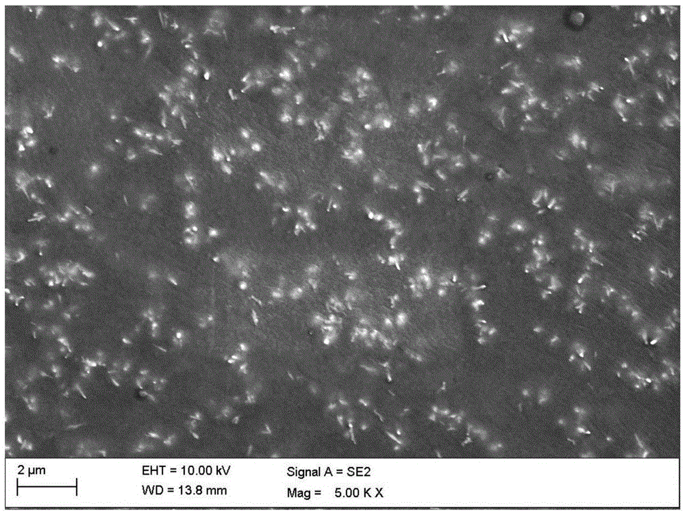 Antifouling material with directionally arranged acicular filler and preparation method thereof