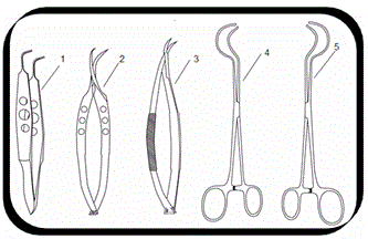 A set of oral and mucous membrane ocular surface reconstruction instruments