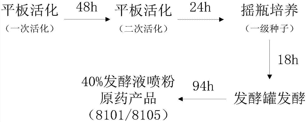 Fermenting culture medium of bacillus and fermenting method