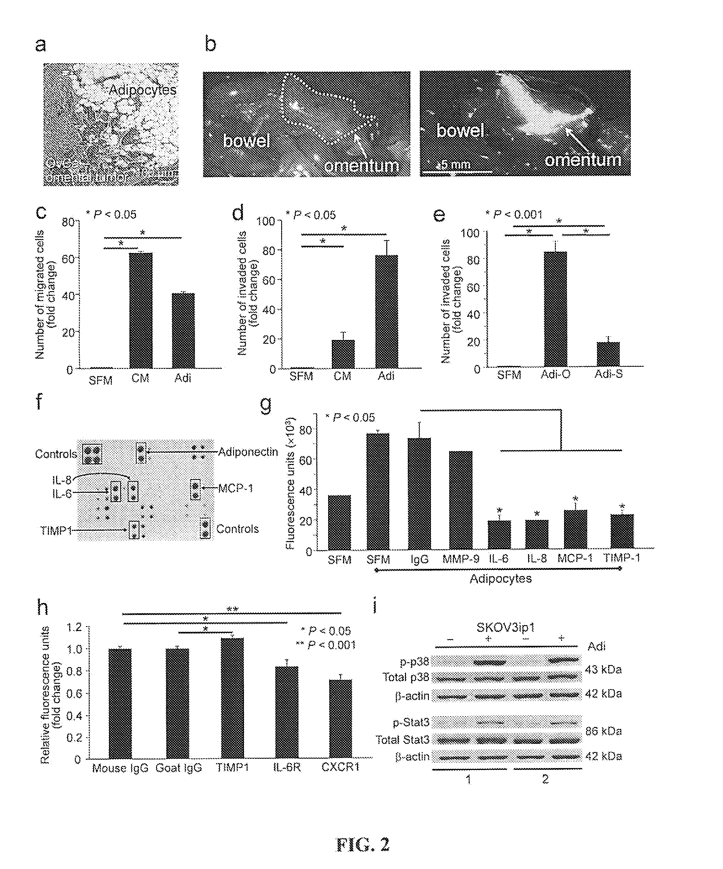 Compositions and methods for treating and/or preventing cancer by inhibiting fatty acid binding proteins