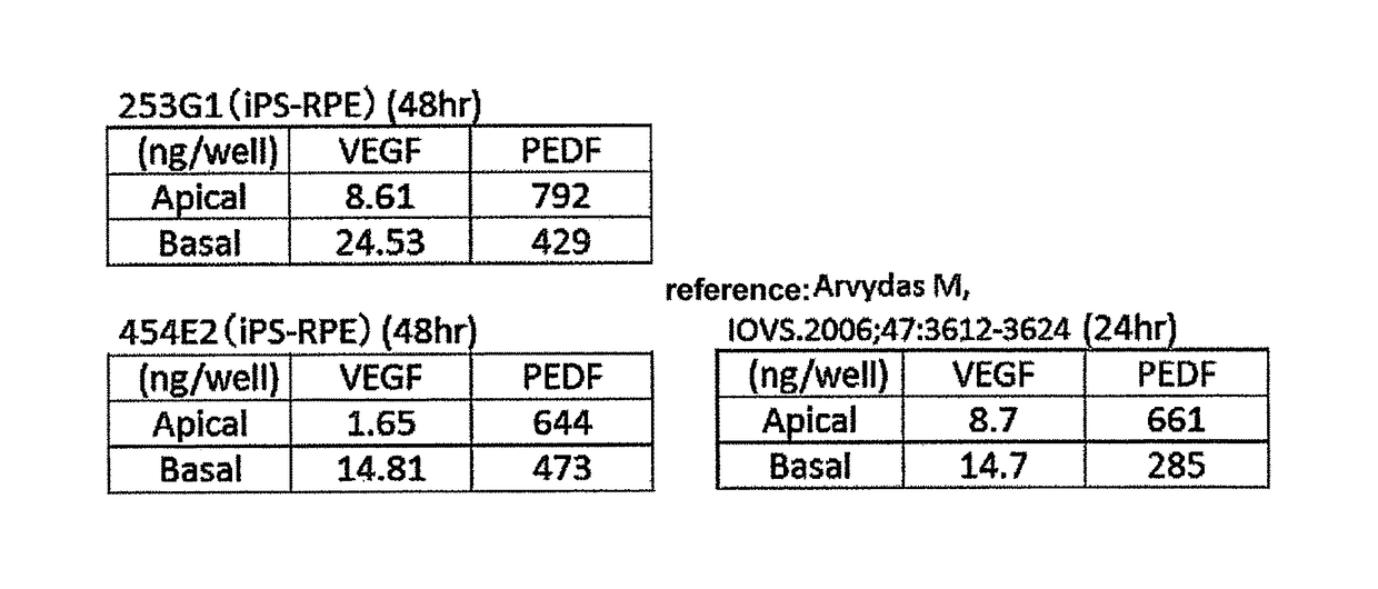 Method of producing retinal pigment epithelial cell sheet