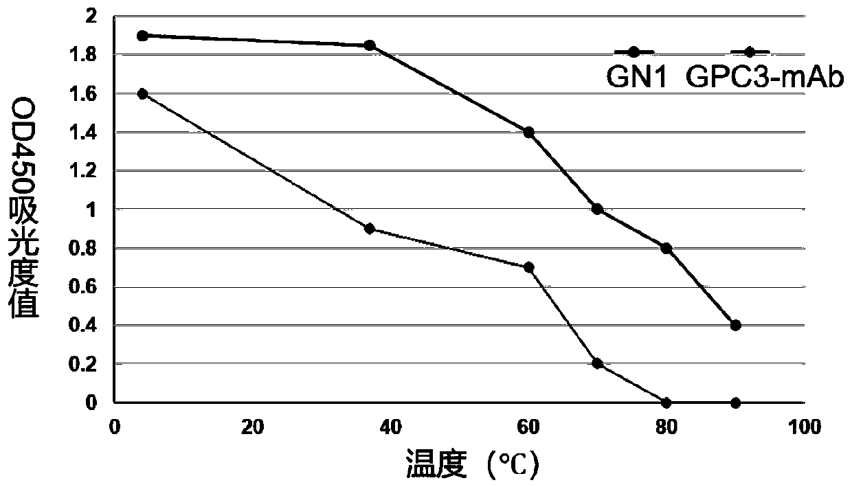 Nano-antibody GN1 specifically combined with GPC3 protein and preparation method and application thereof