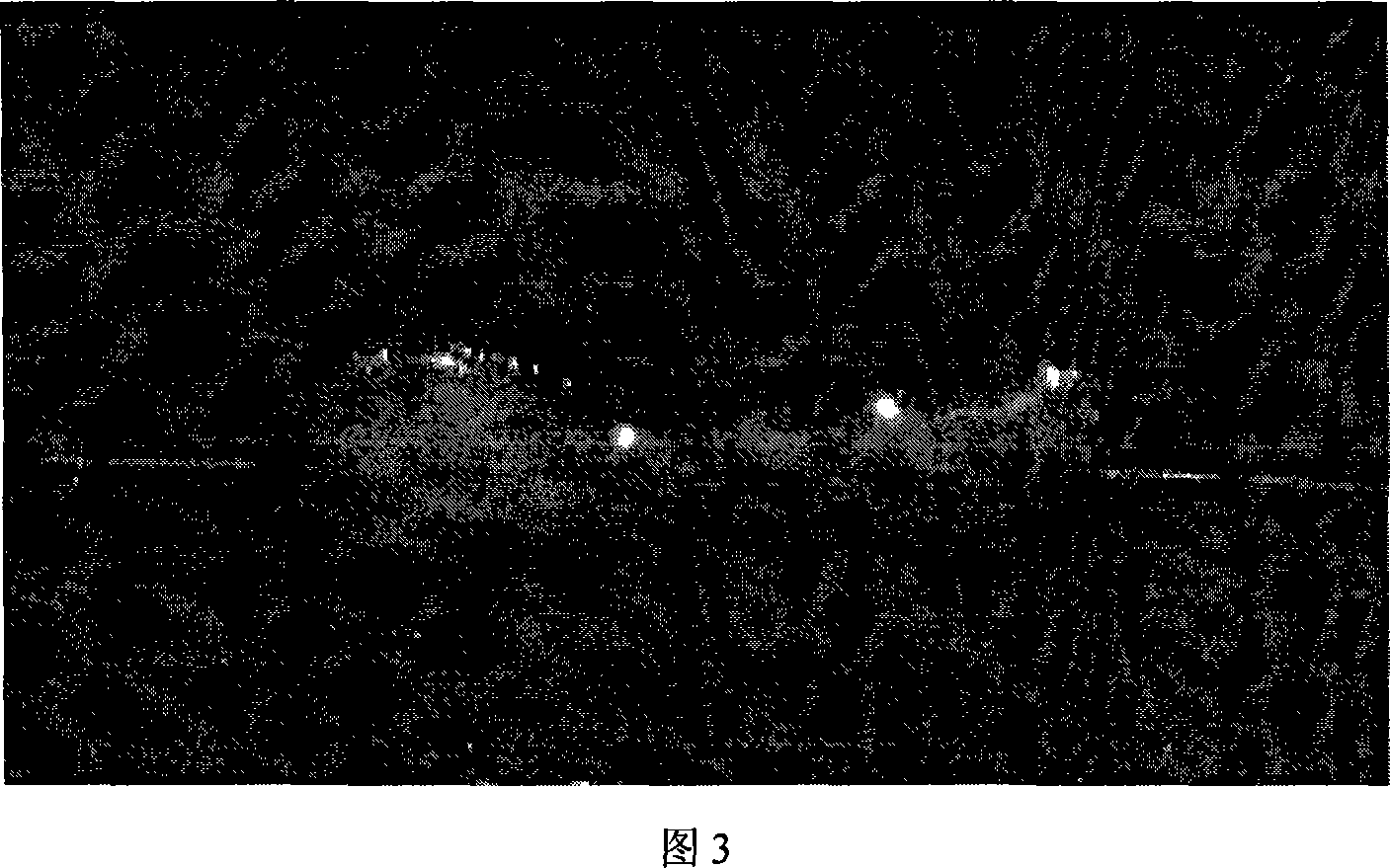 Sensing and visual method and device for space flexible sail plate structure form