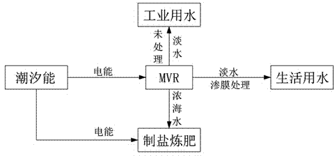 Tidal energy, solar energy, and mechanical vapor recompression integrated seawater desalination system