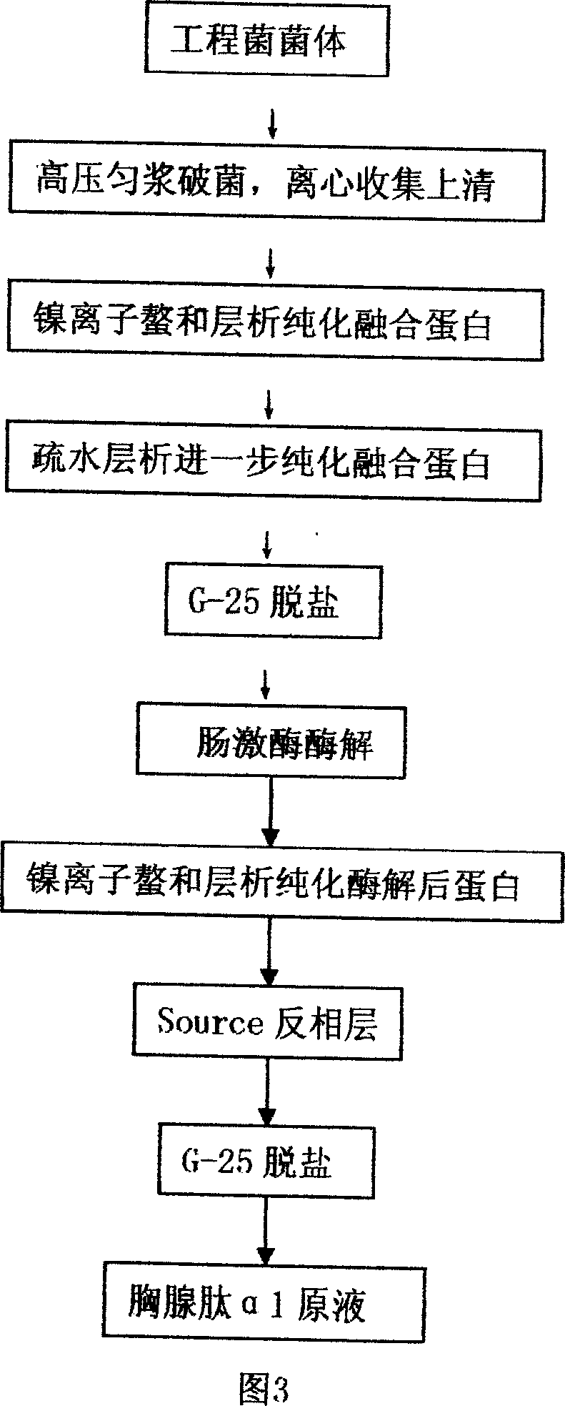 Production method of recombined human alpha1-thymus peptide and preparation thereof