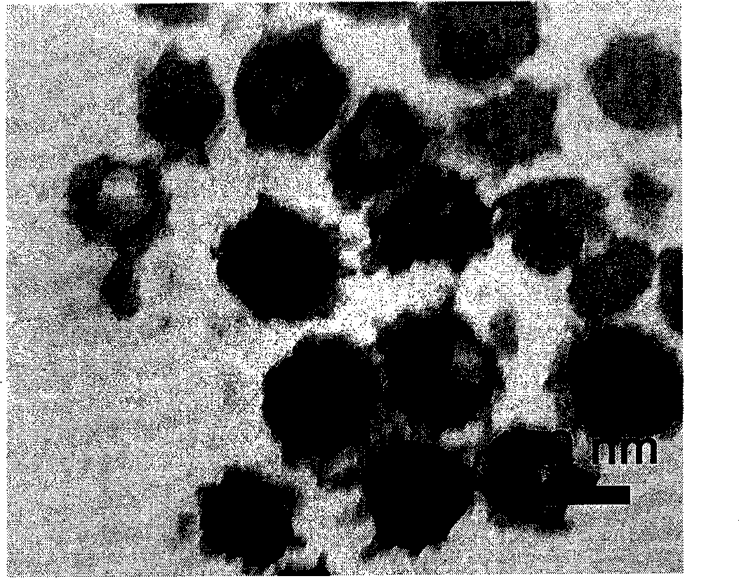 Preparation and application of amphiphilic albumin derivative and pharmaceutical composition thereof