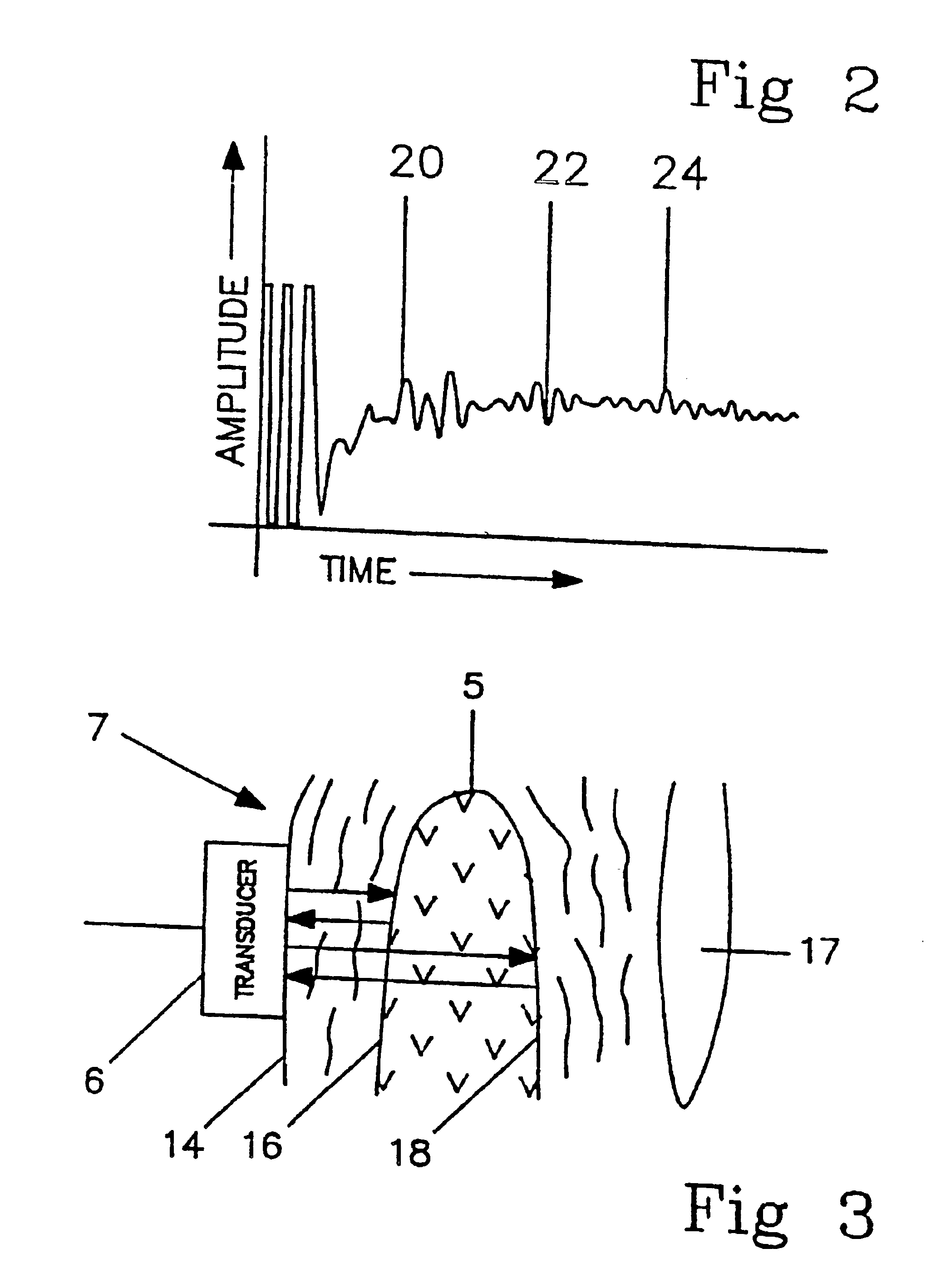 Method and system for biometric recognition using unique internal distinguishing characteristics