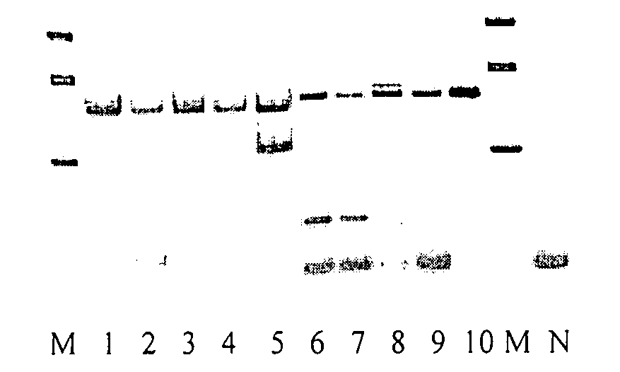 Method of monitoring colorectal cancer