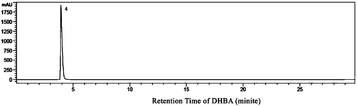 Curcumin-2,5-dihydroxy-benzoic acid eutectic crystal and preparation method thereof