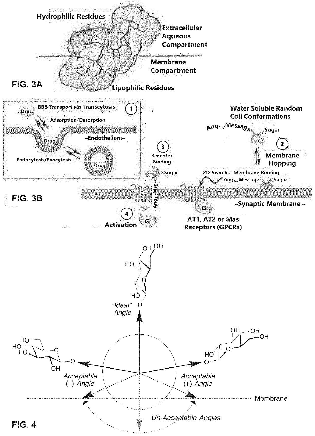 Glycosylated peptides with pseudoproline residues and having enhanced half-lives and ability to cross the blood brain barrier