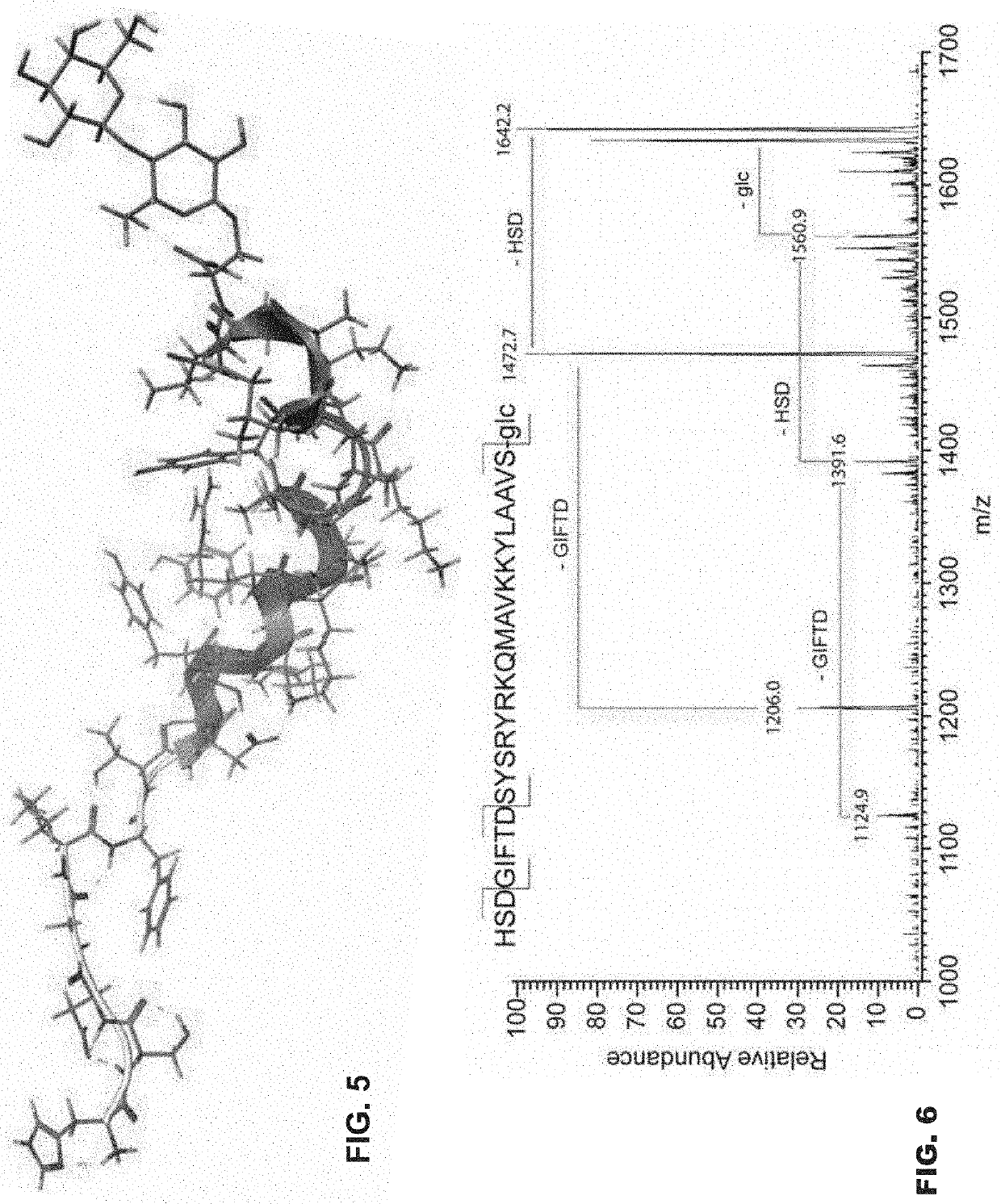 Glycosylated peptides with pseudoproline residues and having enhanced half-lives and ability to cross the blood brain barrier