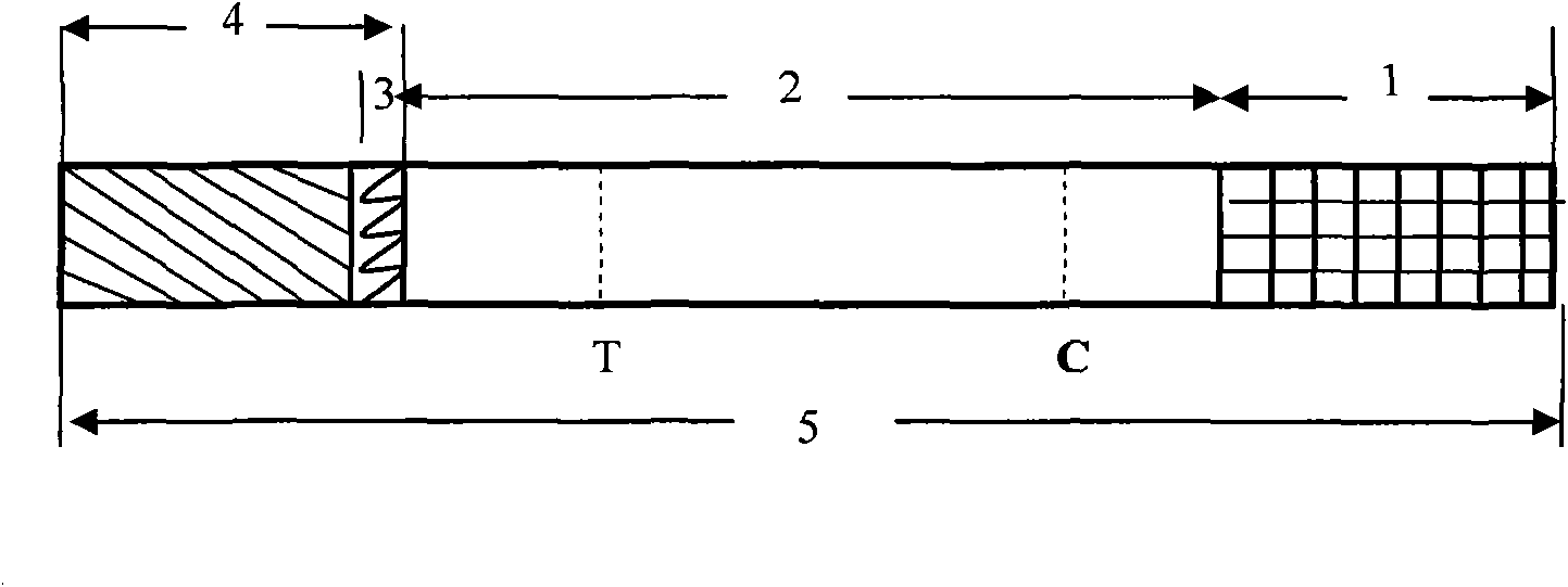 Colloidal gold detection test paper for abrin, preparation method thereof and application thereof