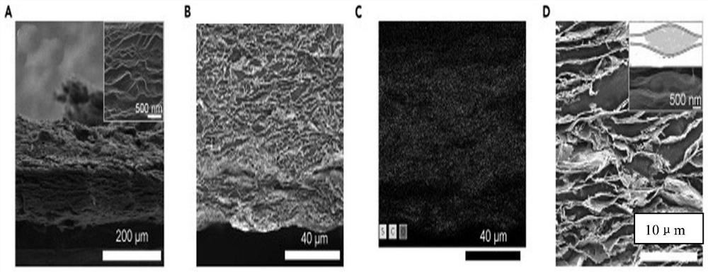 Lithium-sulfur battery, positive electrode and negative electrode materials of lithium-sulfur battery and preparation method thereof