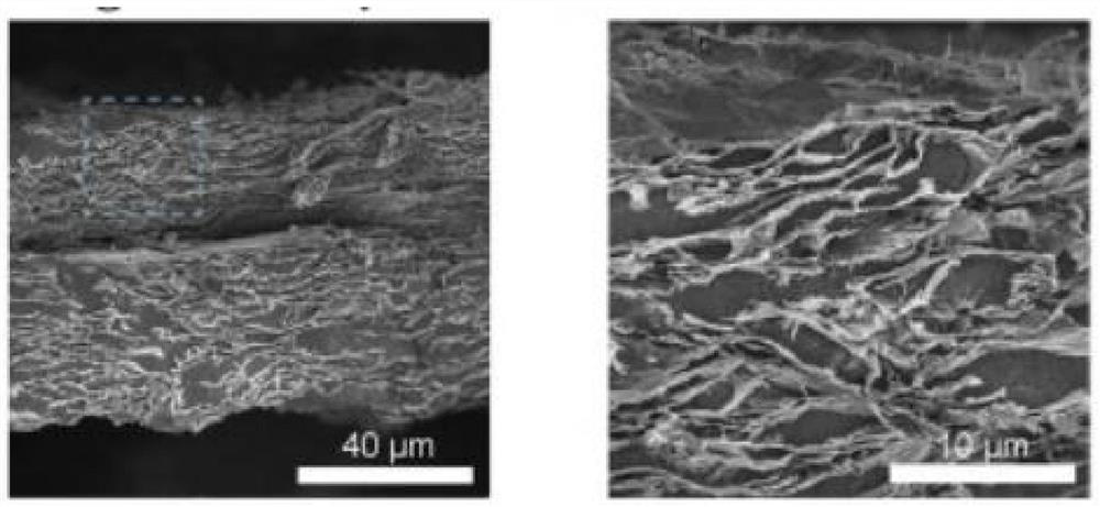 Lithium-sulfur battery, positive electrode and negative electrode materials of lithium-sulfur battery and preparation method thereof