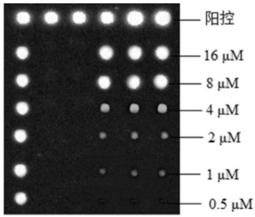 Gene chip detection method for pathogenic bacteria in sea water of bathing place