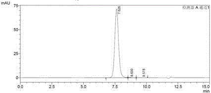 Recombinant human papilloma virus type 33 L1 protein and its purpose