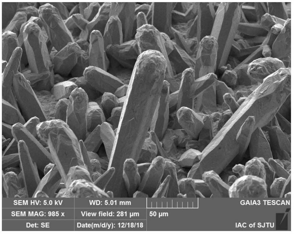 A micron-scale single crystal copper interconnect structure and preparation method thereof