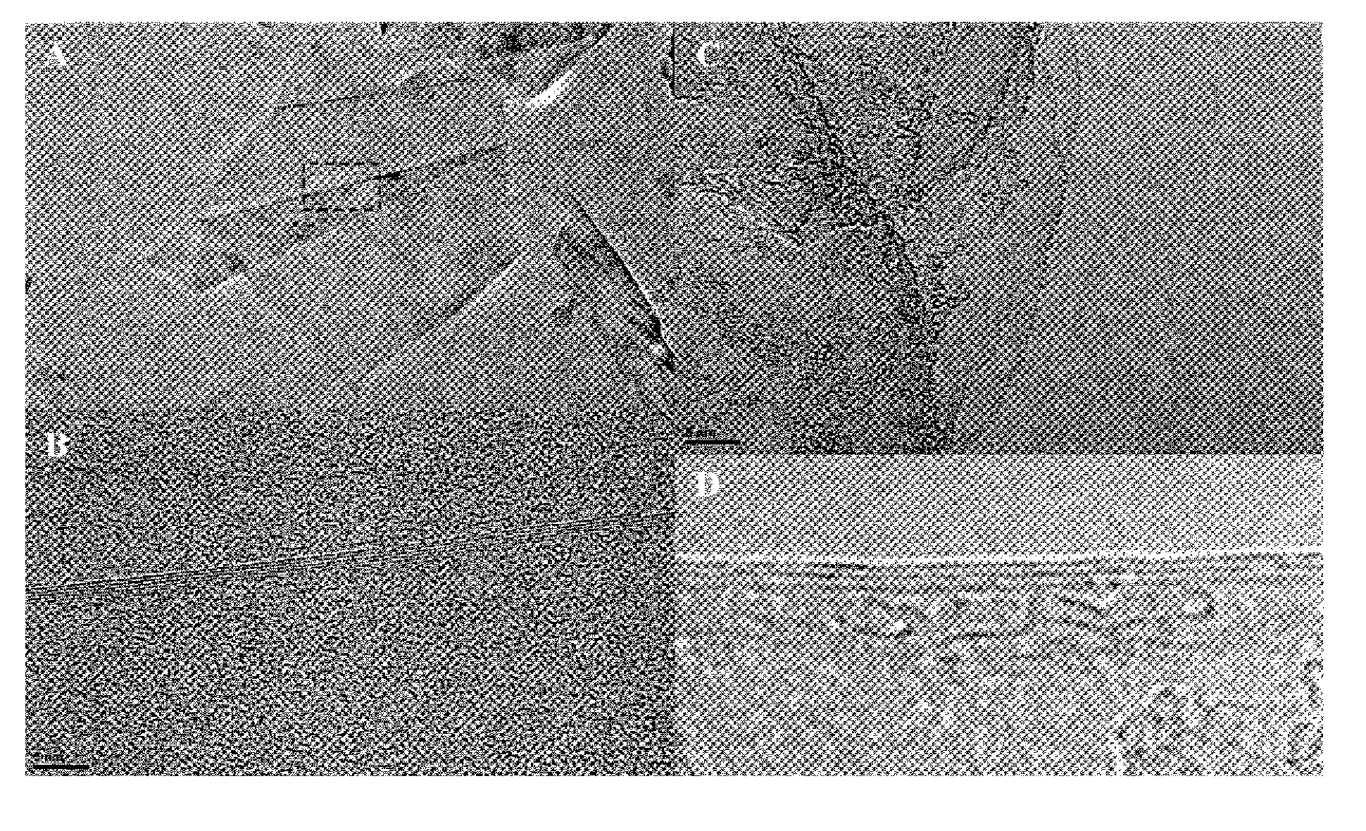 Method for exfoliation of hexagonal boron nitride