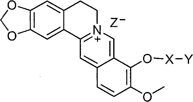 Preparation method and application of 9-bit substituent double-functional group berberine derivatives