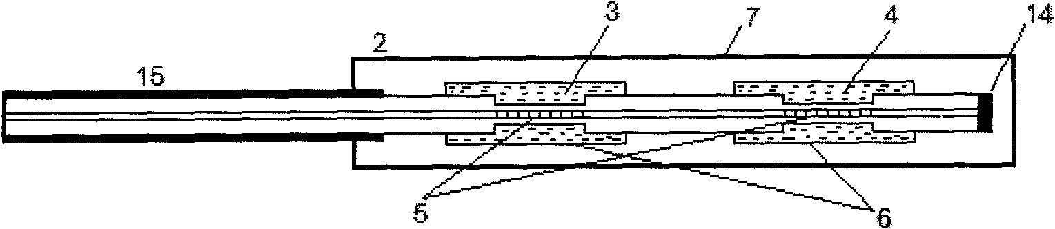 Magnetic field sensor and magnetic field tester