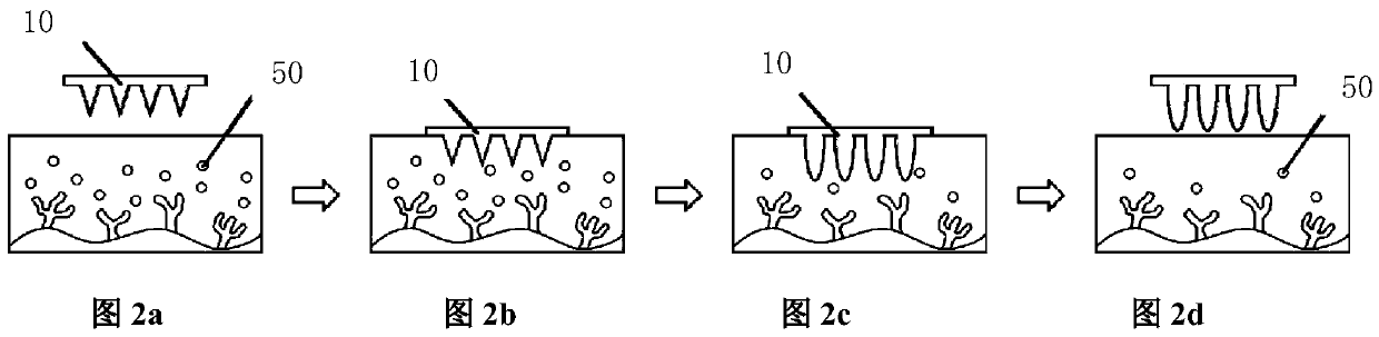 Laser-assisted hydrogel microneedle array biomarker extraction and detection device and preparation method thereof