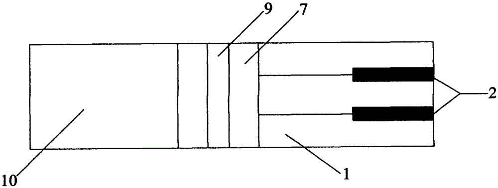 Whole blood urea biosensing test strip