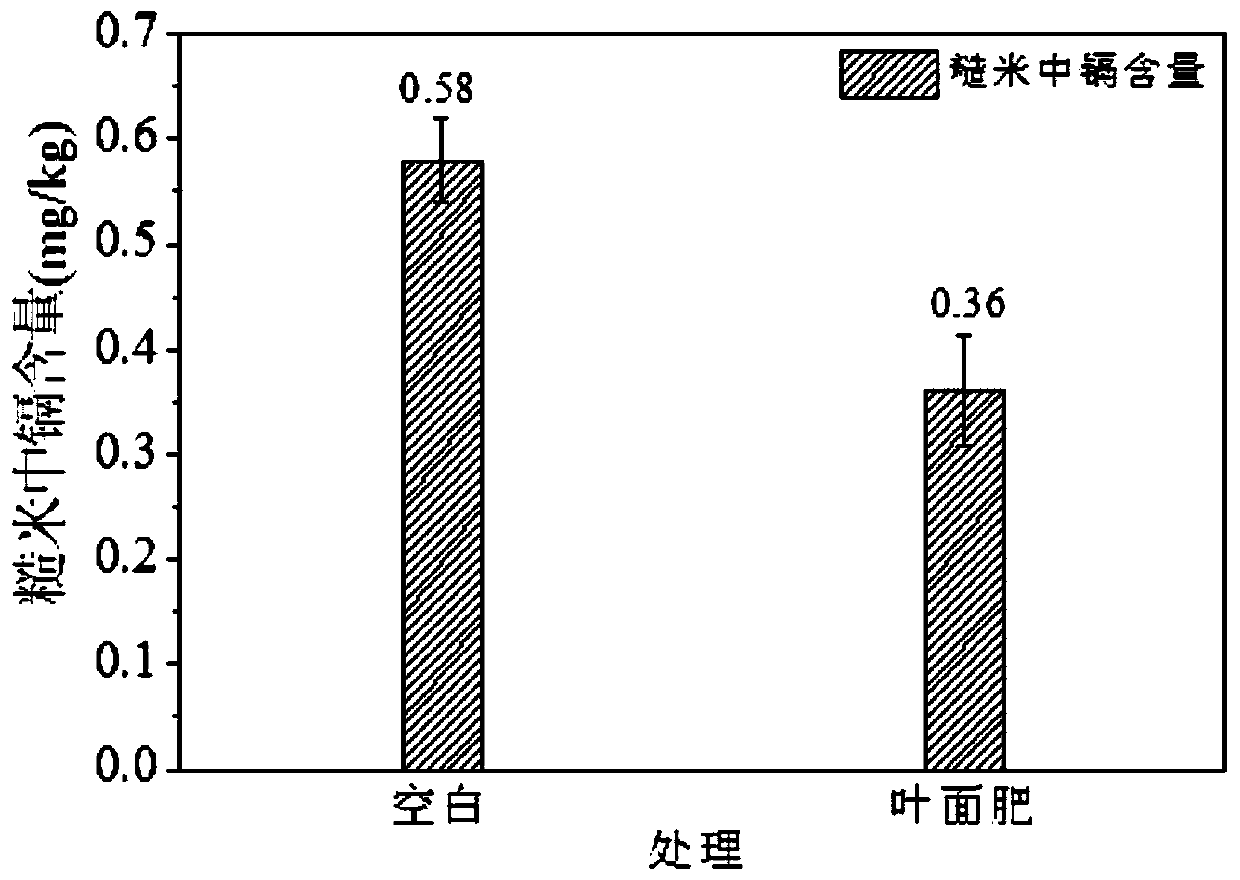 Foliar fertilizer for reducing cadmium in rice, fertilizing method of foliar fertilizer and application of foliar fertilizer