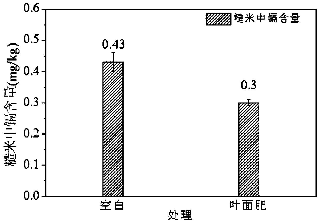 Foliar fertilizer for reducing cadmium in rice, fertilizing method of foliar fertilizer and application of foliar fertilizer