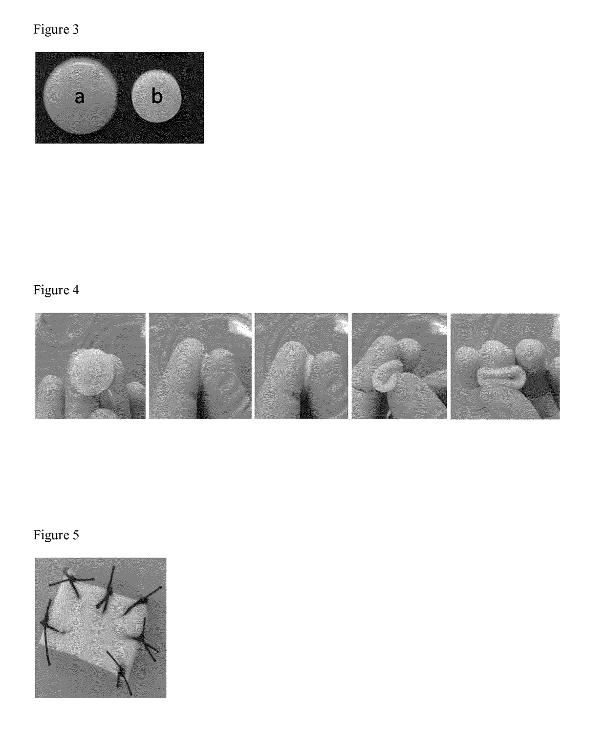 A biomaterial scaffold for regenerating the oral mucosa