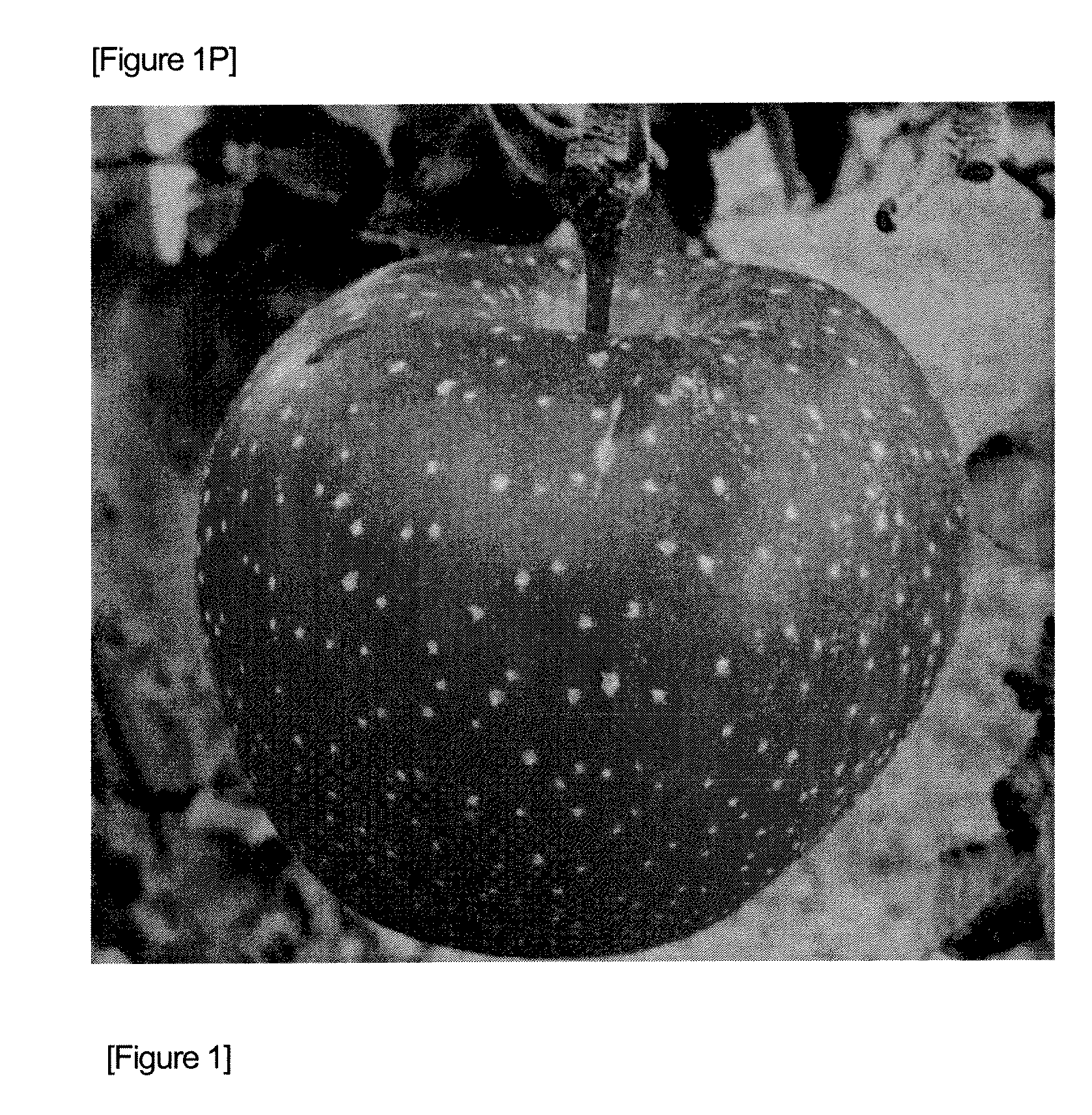 Non-browning apple, method for producing the same, and drink and food using the same