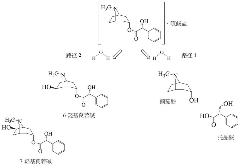 Ophthalmic pharmaceutical composition