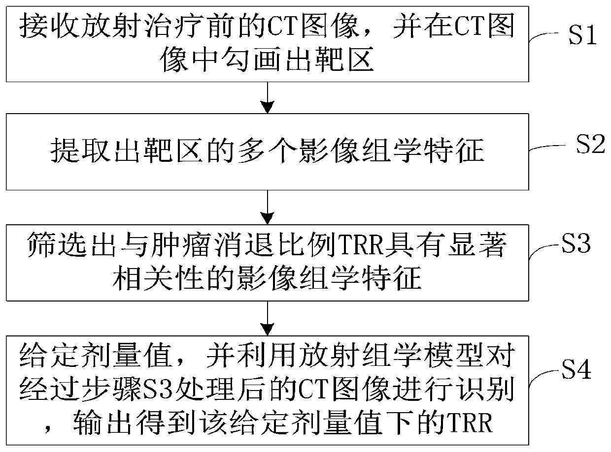 Radiotherapy dosage verification method and system