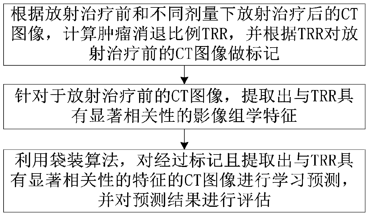 Radiotherapy dosage verification method and system