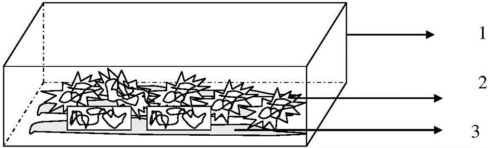 Auxiliary device for improving pupating efficiency of rice leaf rollers and using method