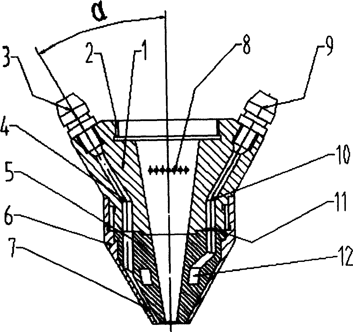 Built-in type jet nozzle for laser melting and coating