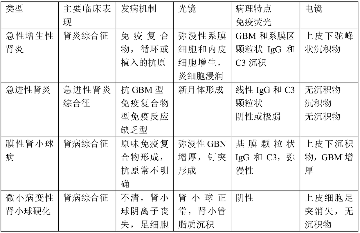 Glomerulonephritis pathology intelligent classifier training method, diagnostic instrument and storage medium