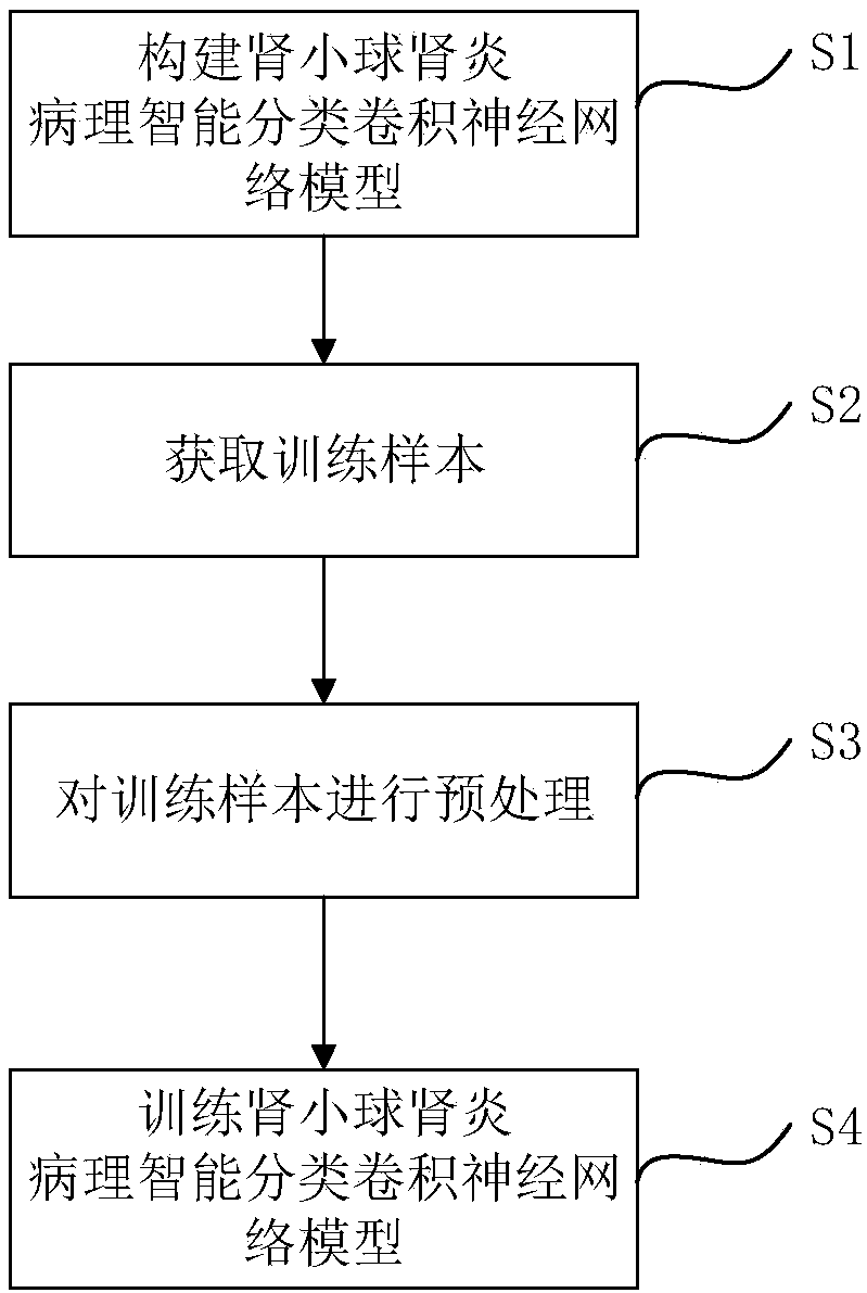 Glomerulonephritis pathology intelligent classifier training method, diagnostic instrument and storage medium