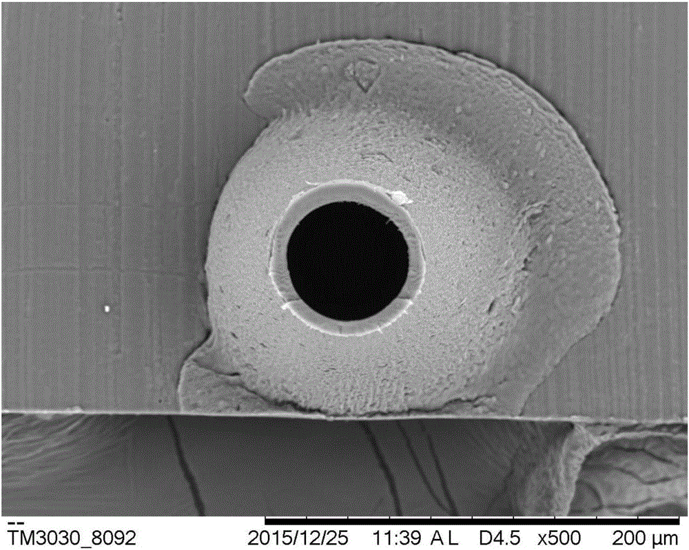 Blank pipe fibroin microneedle drug administration system and preparation method thereof