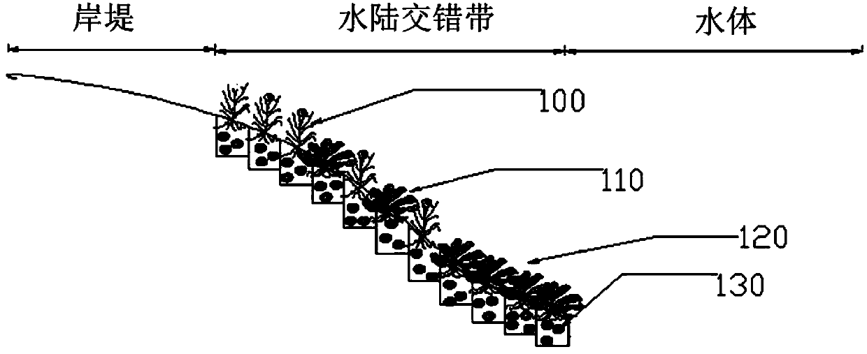 Method for building ecological slope protection by reasonably mixing and matching spiral shells with water plants