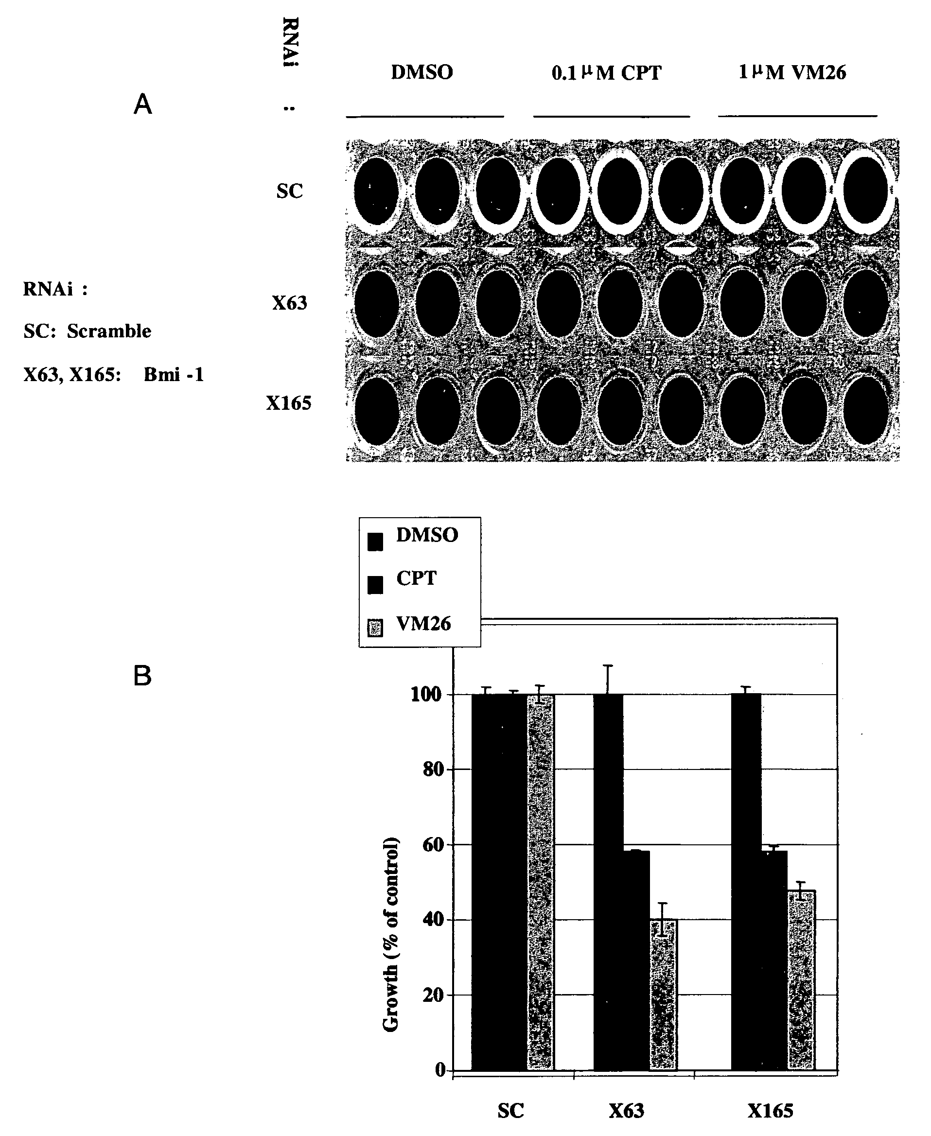 Methods for enhancing the therapeutic efficacy of topoisomerase inhibitors