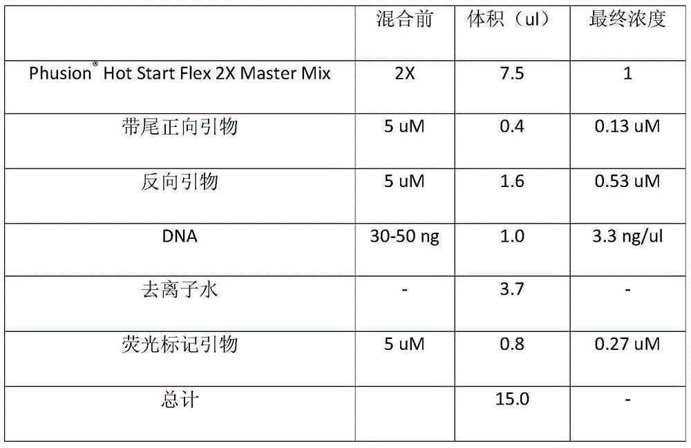 Method for high-resolution genotyping of SSR (simple sequence repeats) molecular marker