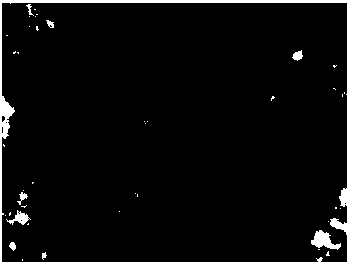 Titanium dioxide/carbon nitride/Cu-ZSM-5 photocatalyst and preparation method of titanium dioxide/carbon nitride/Cu-ZSM-5 photocatalyst