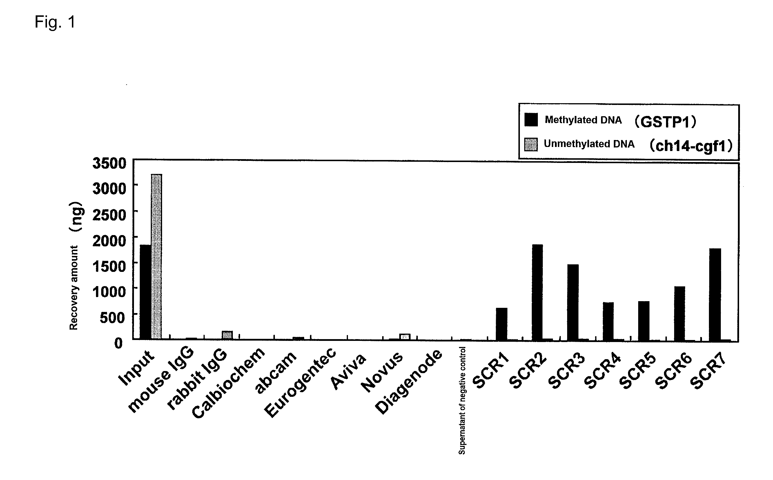 Hybridoma producing Anti-methylated DNA antibody and utilization of same