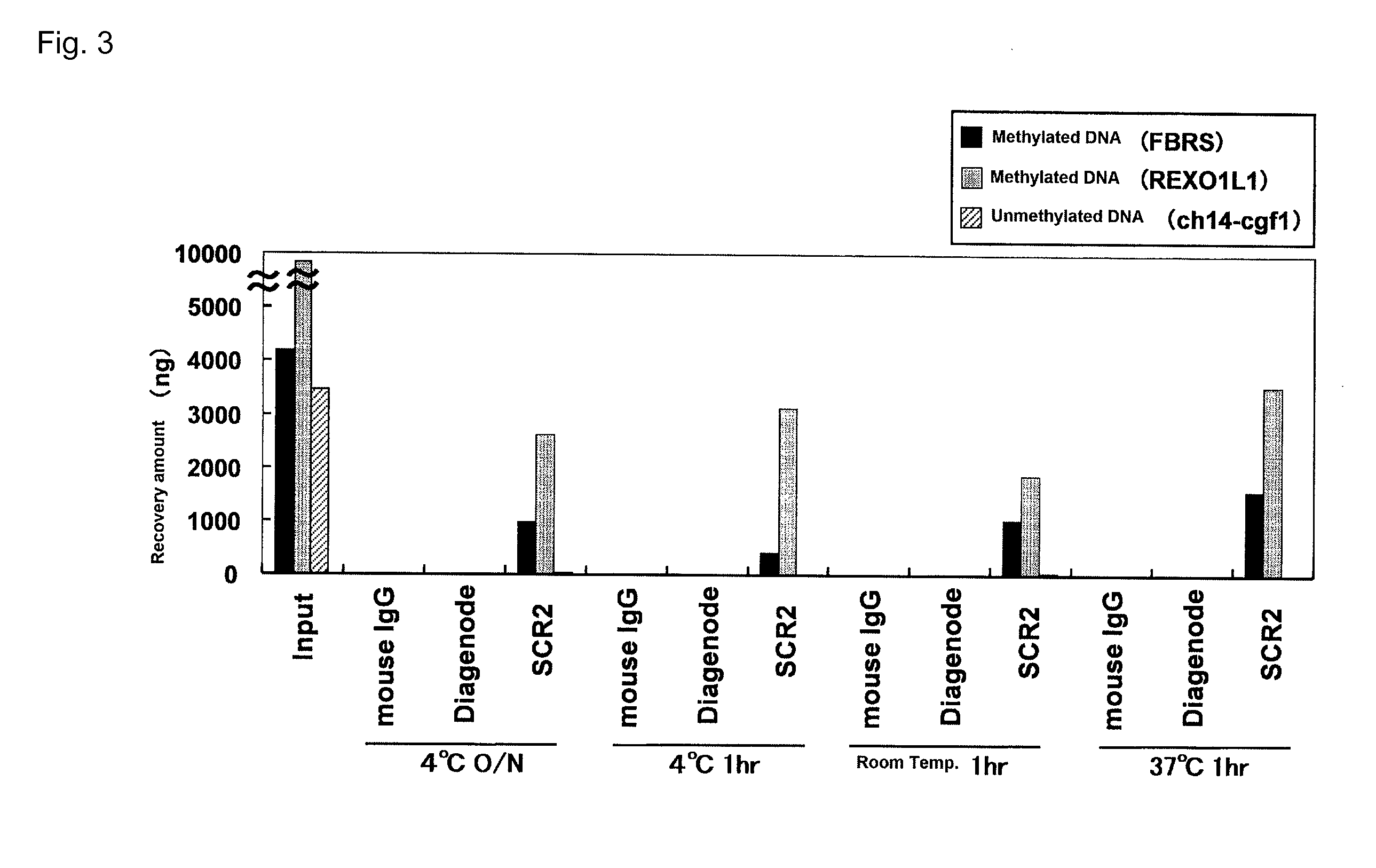 Hybridoma producing Anti-methylated DNA antibody and utilization of same