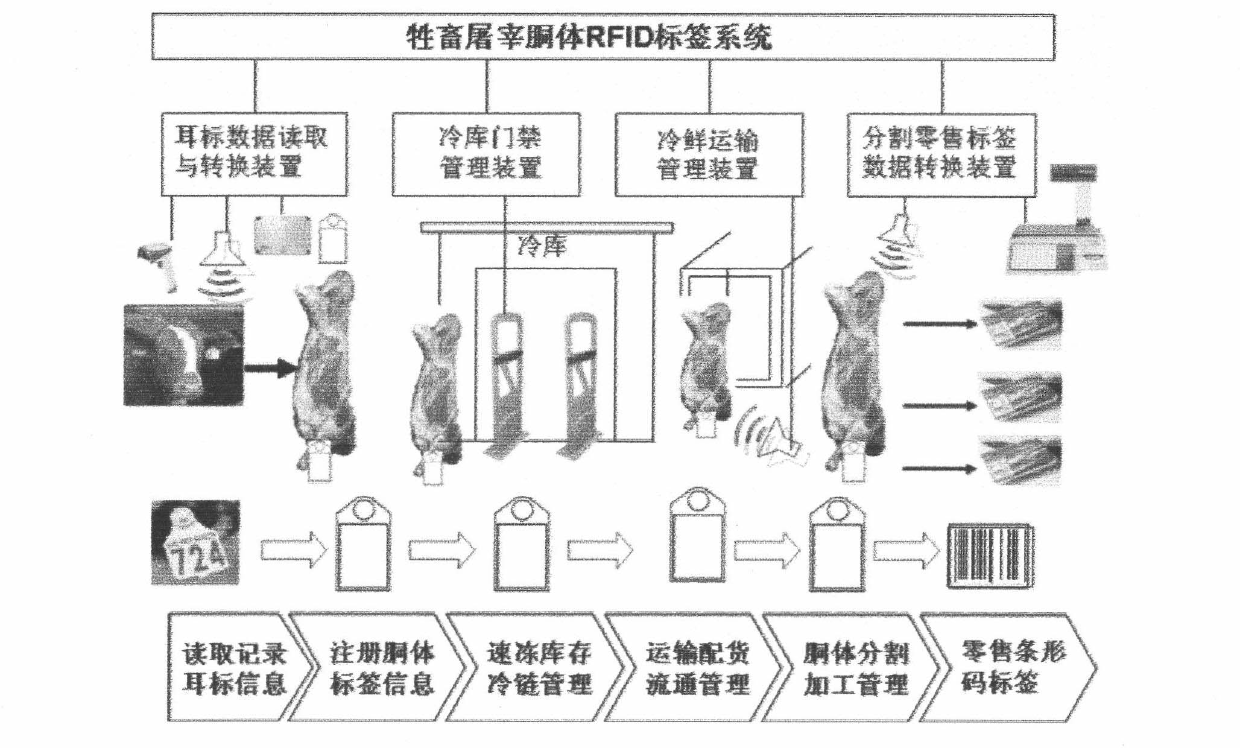 RFID (Radio Frequency Identification Device) label system of carcass for slaughtering of livestock and application method of the same in supply chain management