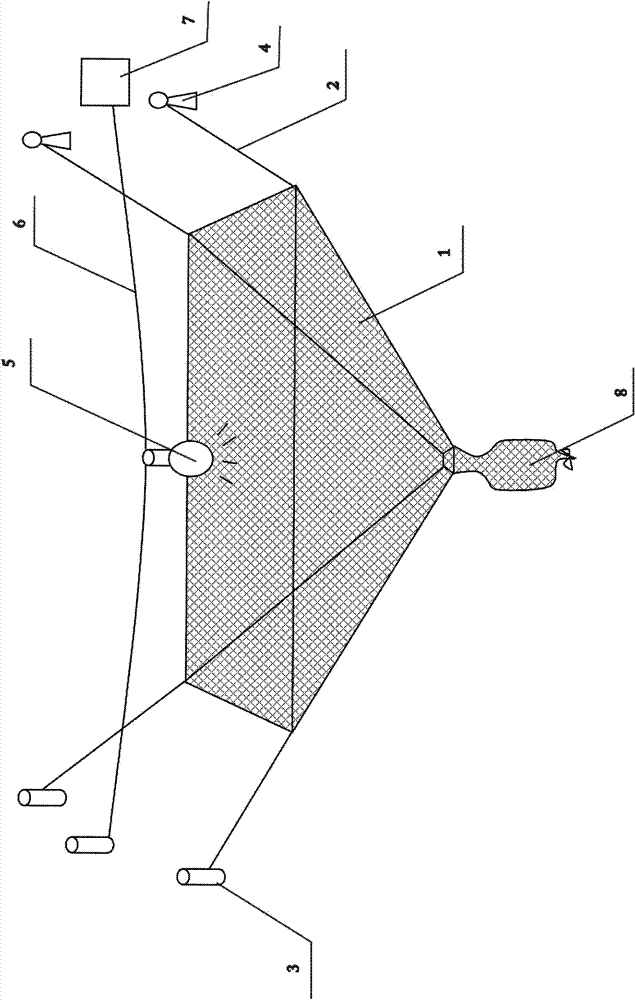 Lamplight drop net with fish classifying device and spotted silver, carp fry safe escape channel