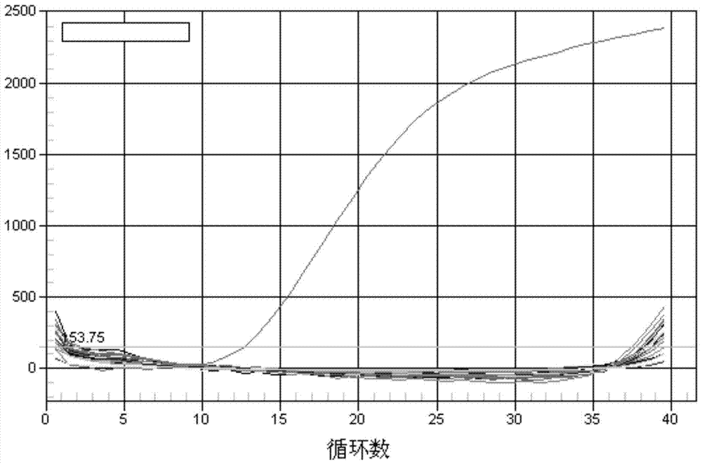 A kit for detecting dog-derived components in food and its application