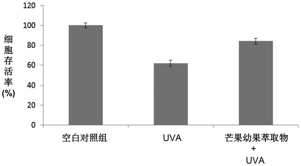 Young mango extract and application of compound obtained from young mango extract in skin care and health care