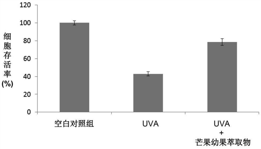 Young mango extract and application of compound obtained from young mango extract in skin care and health care