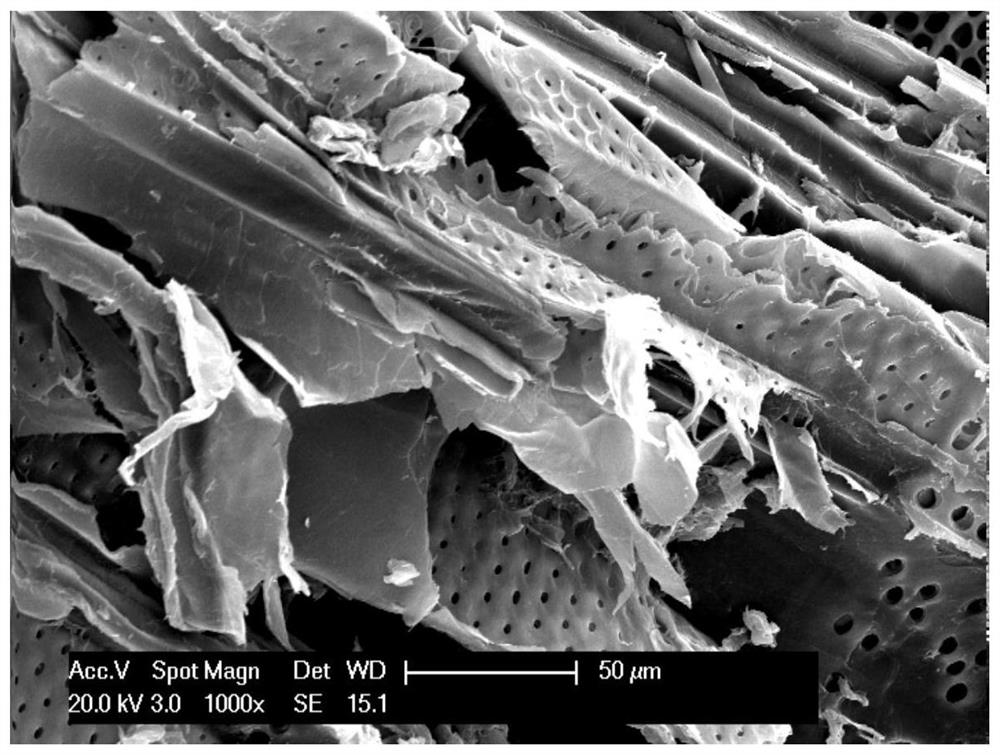 Method for modifying sawdust